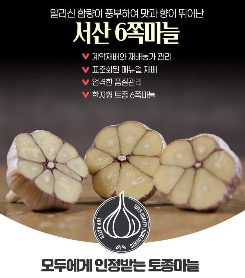 제 15회 서산6쪽마늘축제 기본일정과 프로그램 정리 나태주 한여름 한강 출연(feat문화누리카드 사용가능 및 방법 정리)