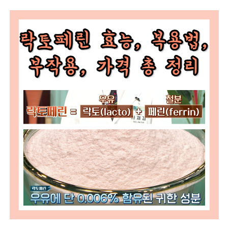 락토페린