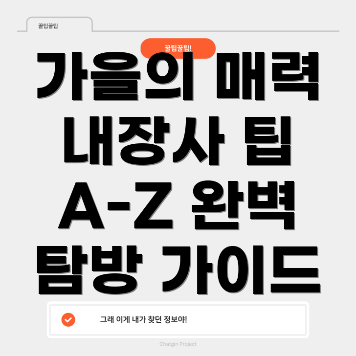 내장산 단풍 탐방