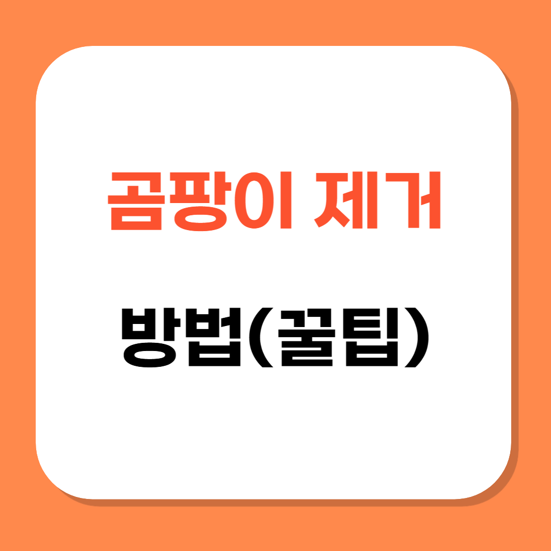 곰팡이 제거 관련 사진