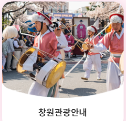 진해군항제