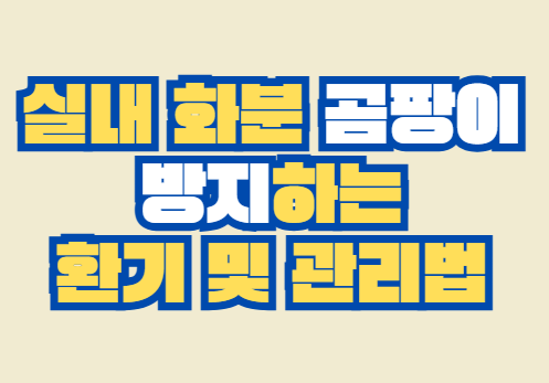 실내_곰팡이