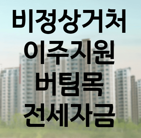 비정상거처 이주지원