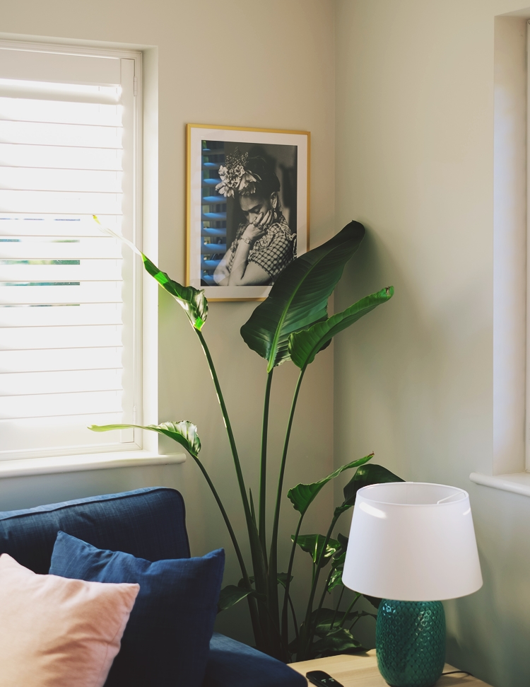 화분과 가까이 놓여진 액자