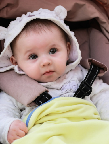 유모차 안전벨트의 종류 (3점식, 5점식, 사용법 차이) 관련 사진