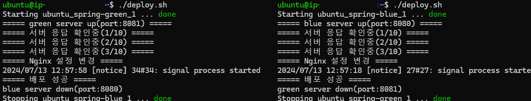 Blue가 이미 실행중 / Green이 이미 실행중