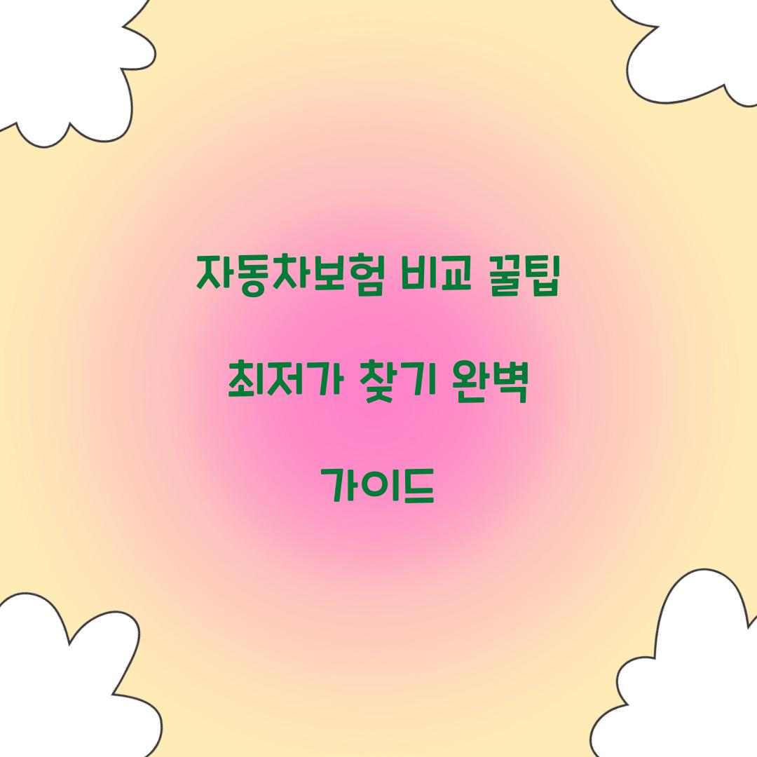 자동차보험 비교