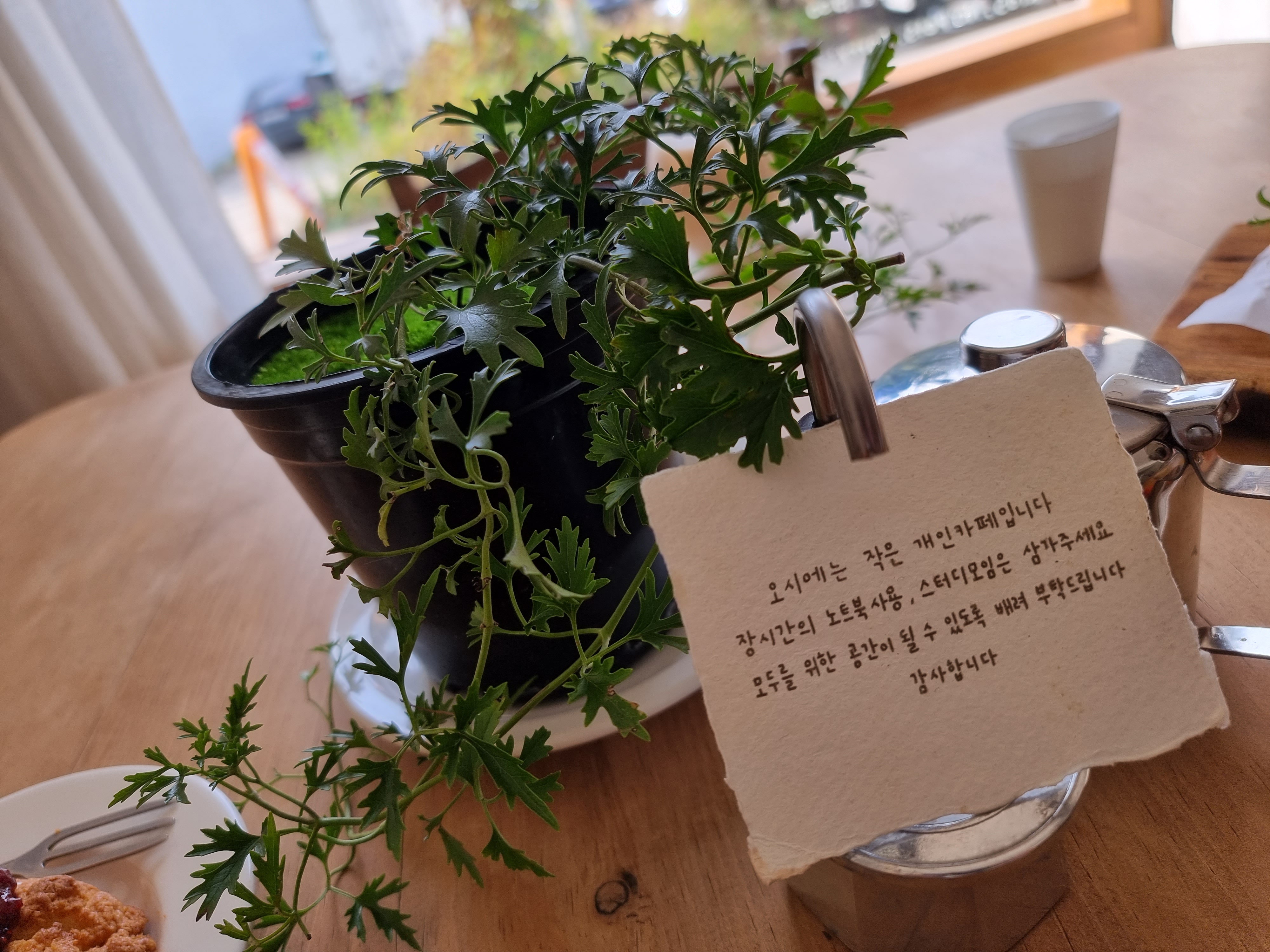 송추 카페 추천