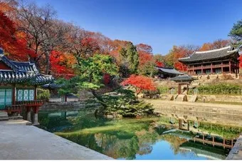 창덕궁 봄 꽃 개화 시기 근처 맛집 10선_21