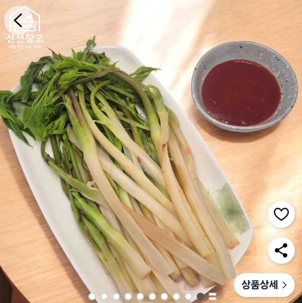 6시내고향-춘천- 땅두릅-백미향