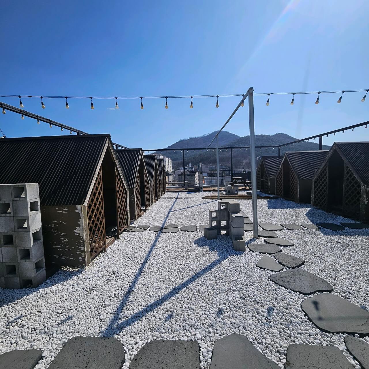 오늘N 커피 한잔할래요? 경북 경주시 식물원 분위기 카페 오베르 경주여행 갈만한 곳 오늘N 2501회