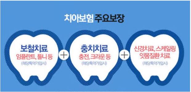 치아보험-가입조건