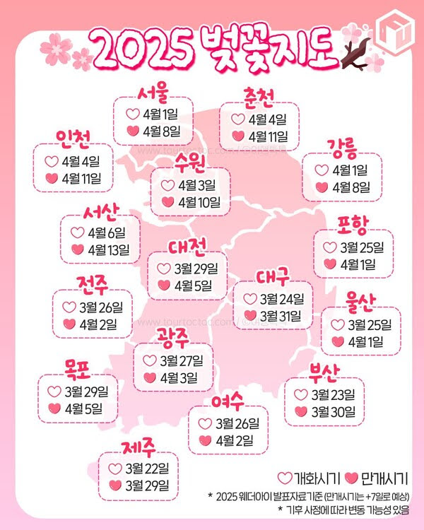 2025년 봄 전국 벚꽃 명소 추천