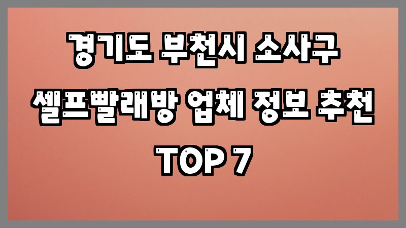 경기도 부천시 소사구 셀프빨래방