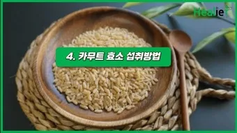 카무트 효소 부작용 효능 먹는법_5