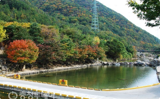 장령산 자연휴양림