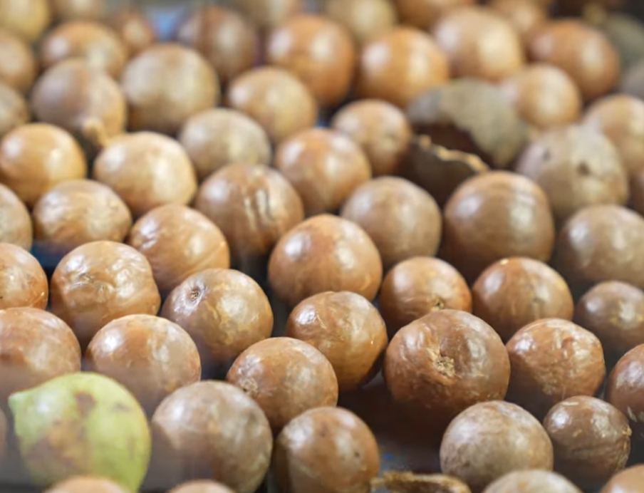 마카다미아의 효능