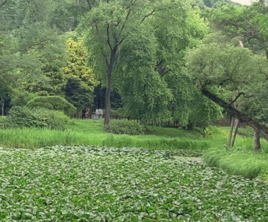 조용한수목원