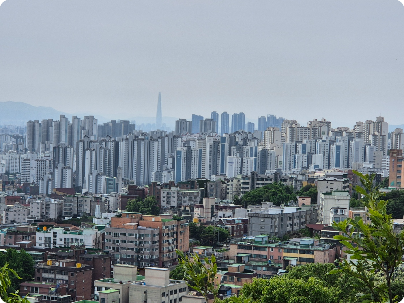 서울 주저지역, 빌라전세, 전세사기