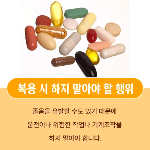 페니라민정 임산부
