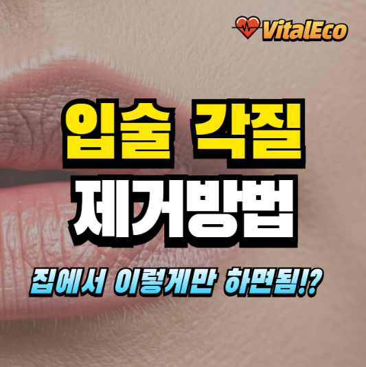 입술 각질 제거방법 알아보기