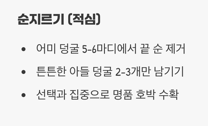 정글을 막는 덩굴 길들이기