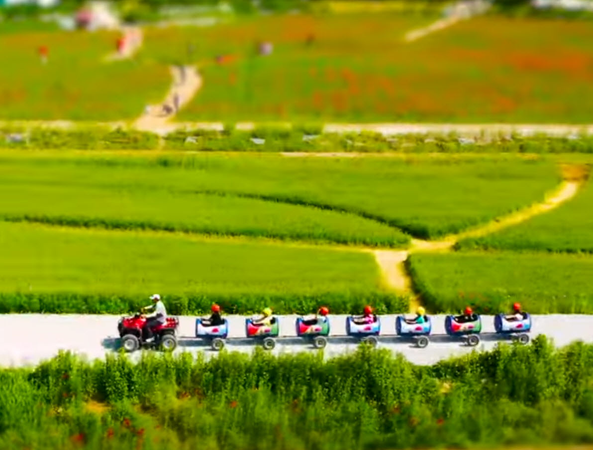 청보리 깡통열차