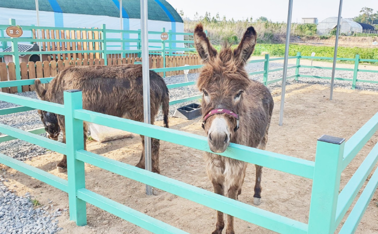 센트럴 곤충 생태농장