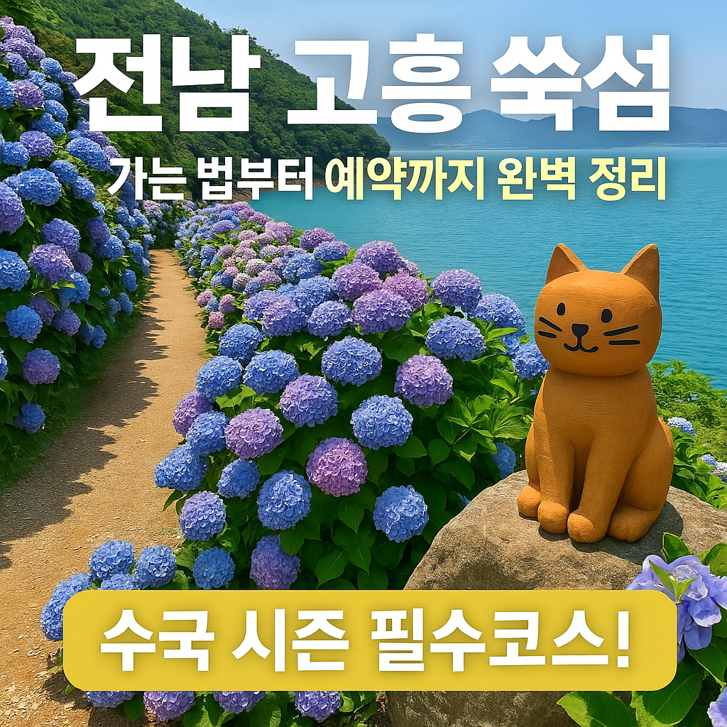 전남 고흥 쑥섬 가는 법부터 예약까지 완벽 정리 (수국 시즌 필수코스!)