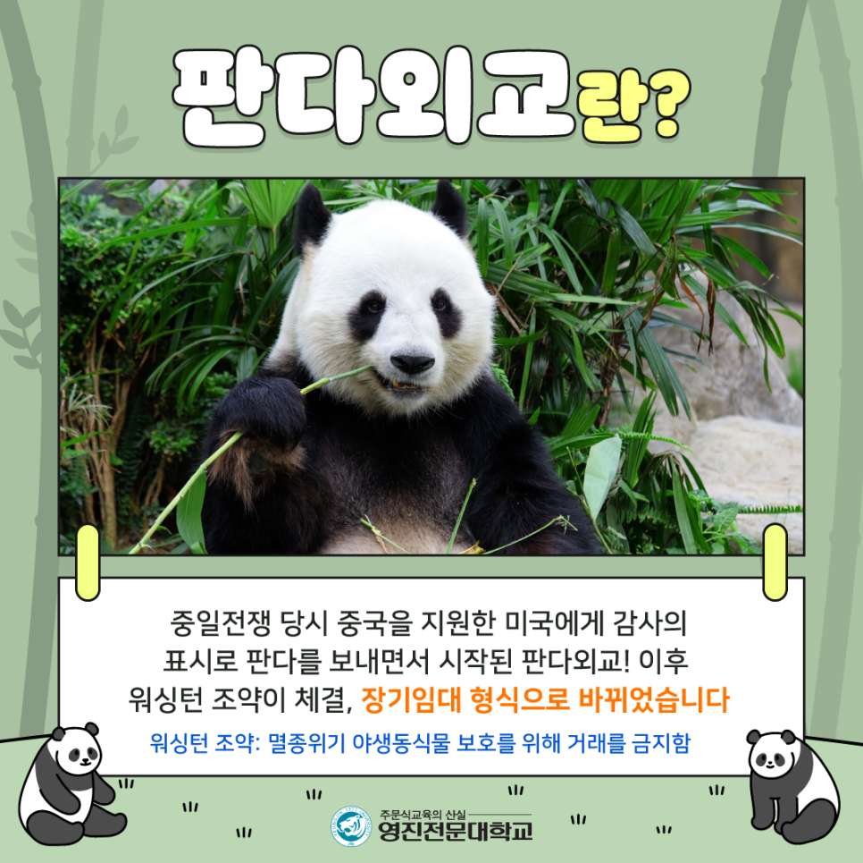 푸바오 반환