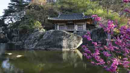 문경 가볼만한곳: 문경 여행 필수 코스 TOP 5