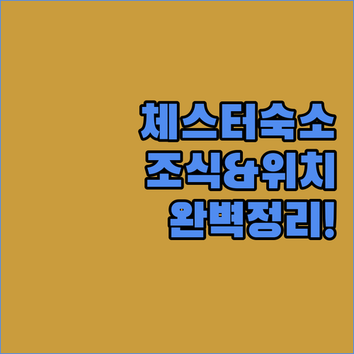 영국 체스터 여행 숙소 결정 가이드 ..