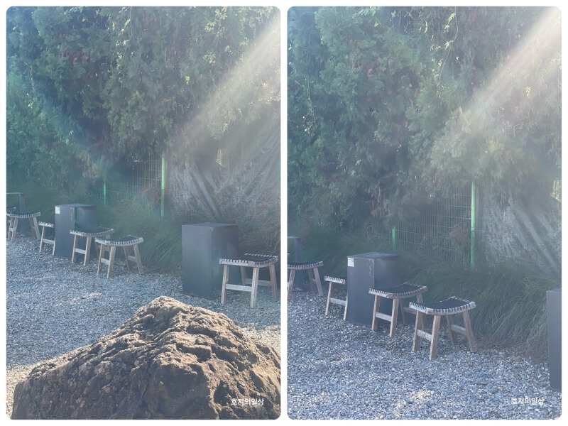 김포 카페 카페진정성 기점 핫플 - 야외 사이드