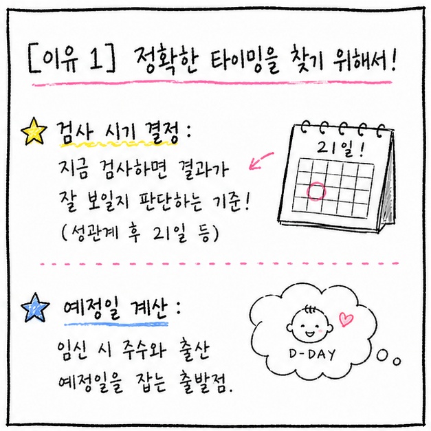 마지막 월경시작일 질문