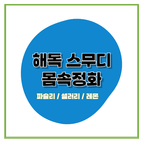 해독 스무디 몸속정화 썸네일