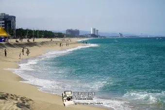 강릉 안목해변 카페거리 추천 인생샷 스팟과 카페 리스트_8