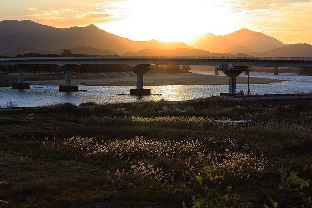 송림사