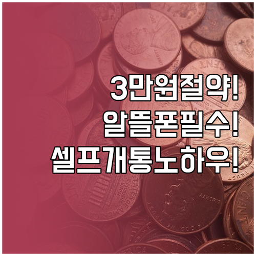 매달 3만원 절약, 알뜰폰 셀프개통 ..