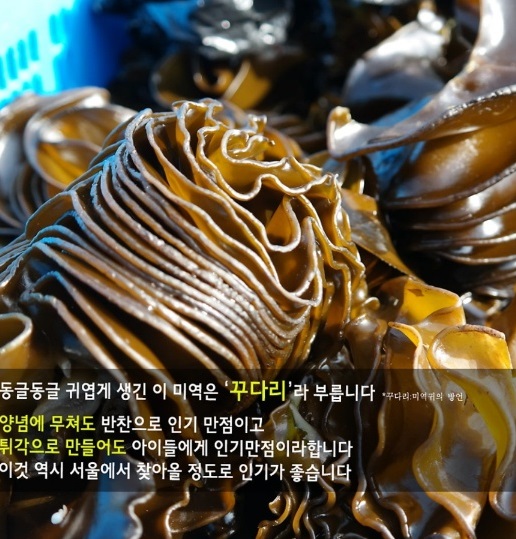 한국인의밥상-영덕-미역