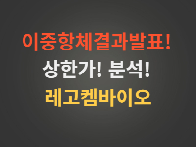 레고켐바이오주가분석