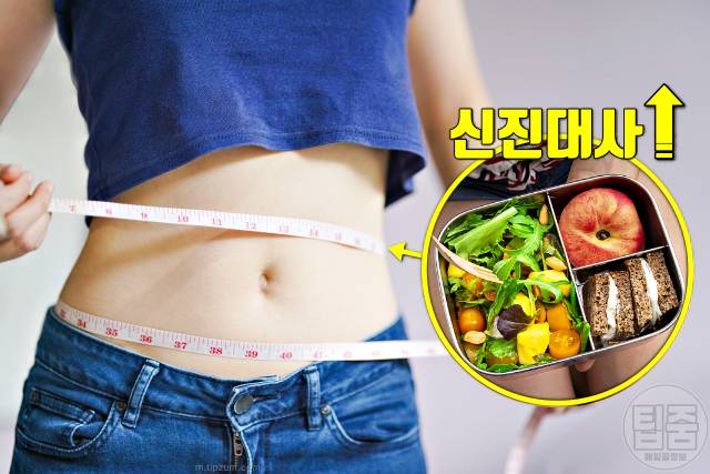 신진대사 높이는 방법 신진대사높이는약