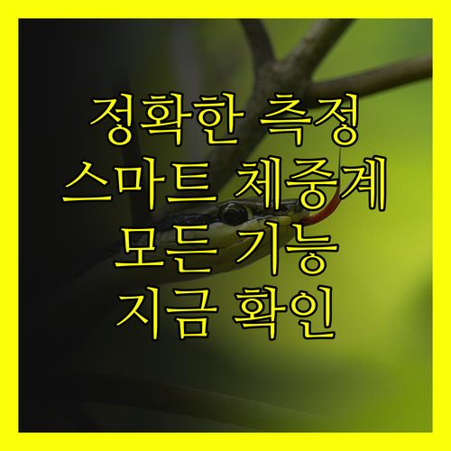 정확한 측정은 기본! 스마트 체중계의