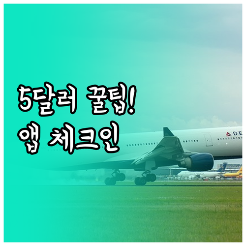하와이안 항공 앱으로 체크인하고 5달..