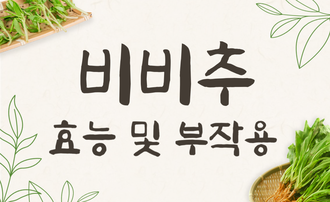 비비추-효능-부작용