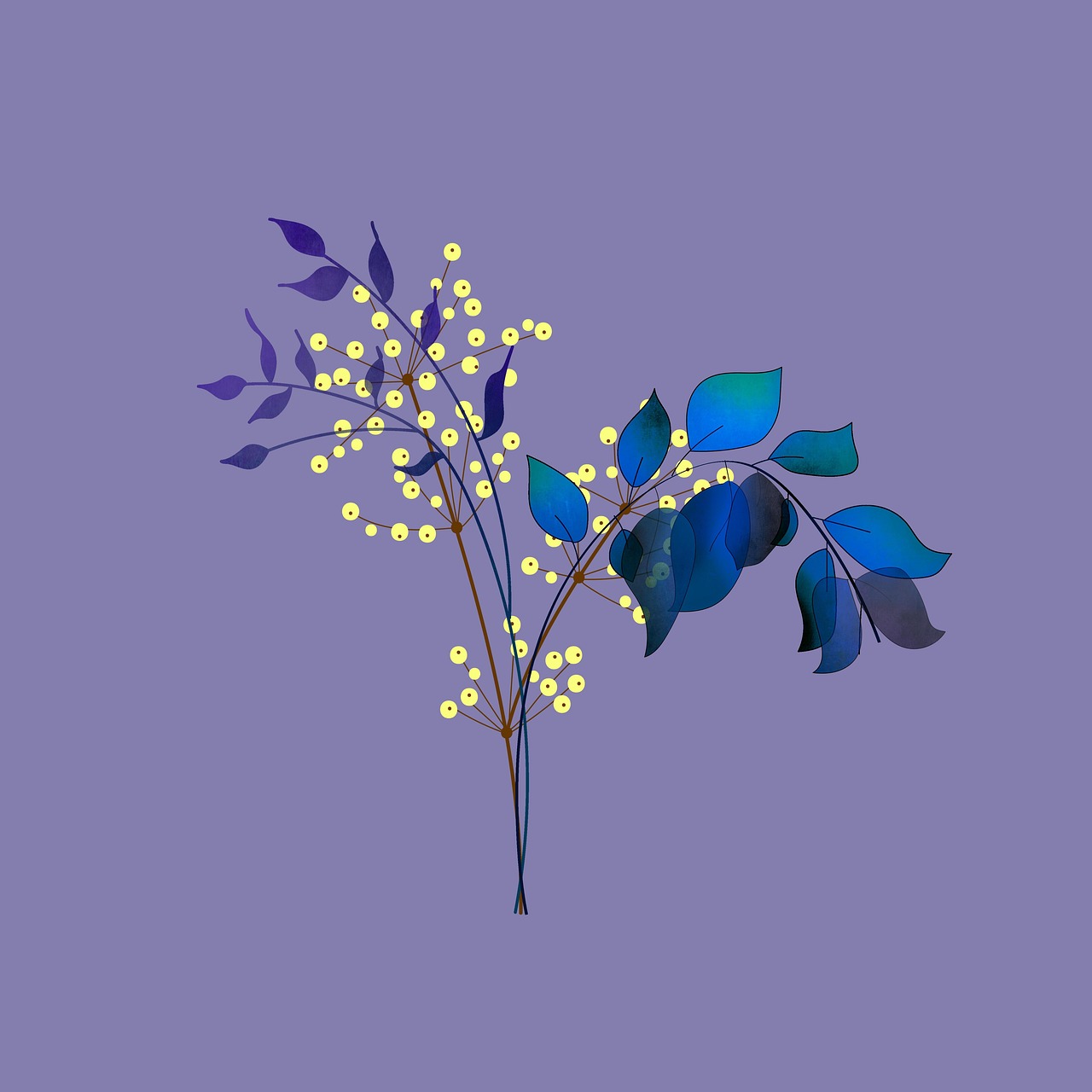 아침 vs 저녁 수분 섭취, 신장에 다르게 작용하는 이유 (신부전 관점)