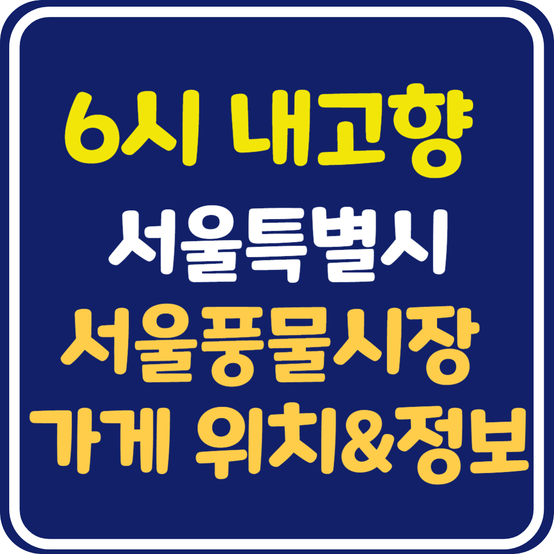 6시 내고향 서울풍물시장 시계수리 가게, LP 가게, 화석 가게, 소머리 곰탕 가게 위치 및 정보