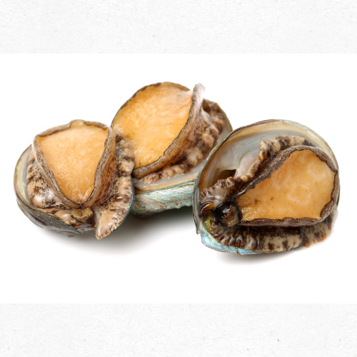 전복 솔질 방법