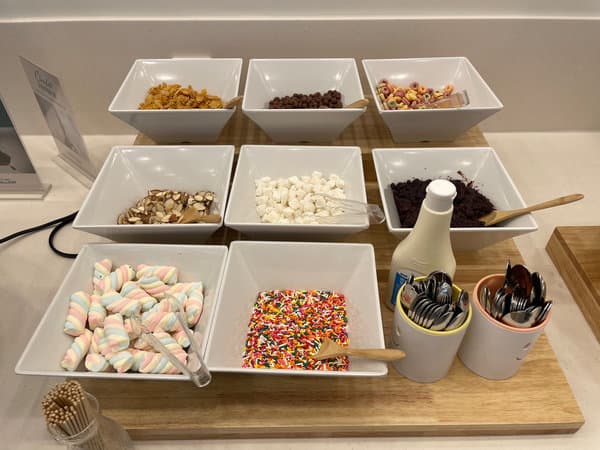 동탄2 샤브올데이 디저트 코너 - 요거트 토핑 9가지와 티스푼