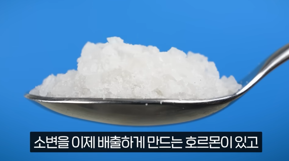 밤마다 깨는 불면증과 야간뇨