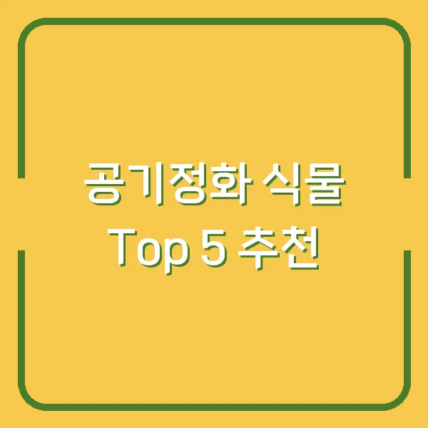 공기정화 식물 Top 5 추천